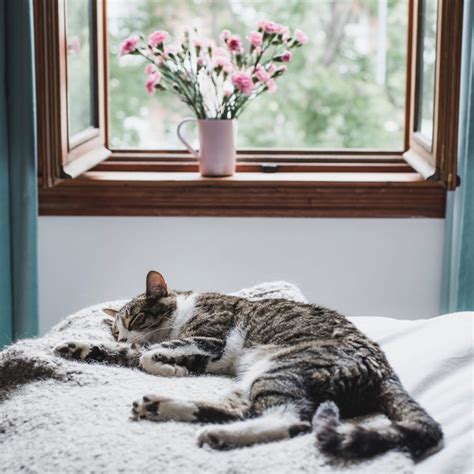 How to beat the afternoon slump in 8 ways (without coffee).